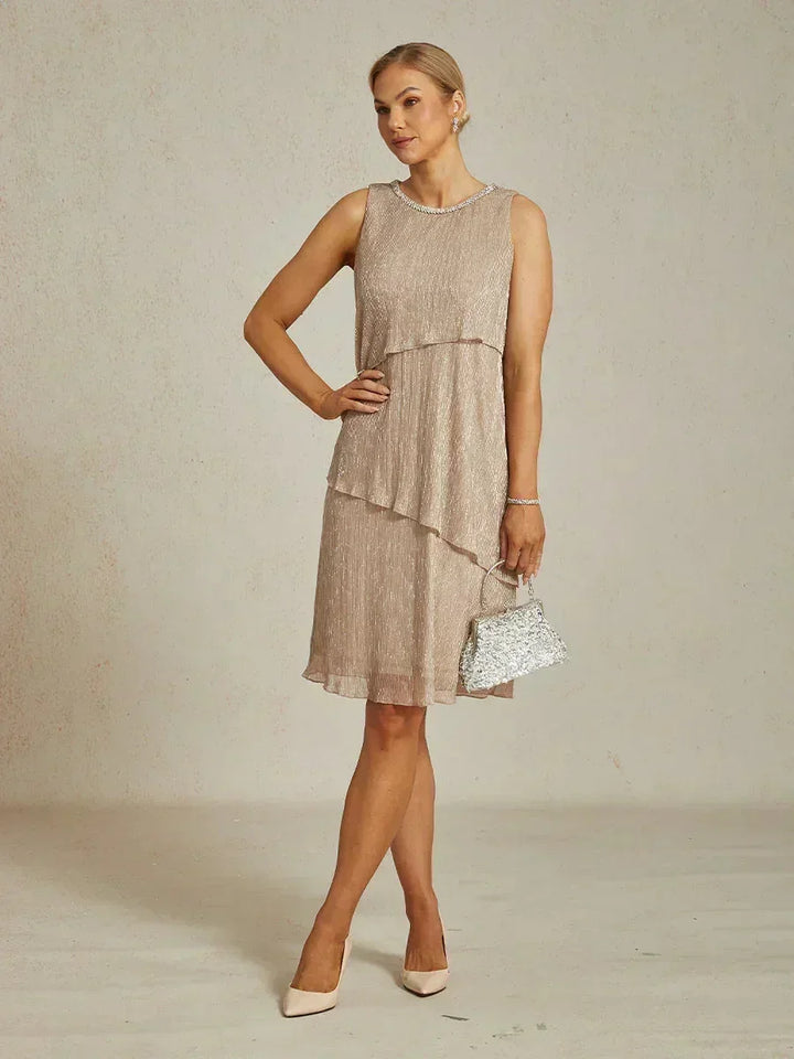 Metallic Pleated Chiffon Long Jacket Dress