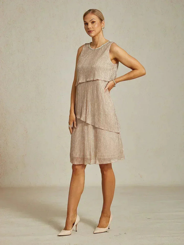 Metallic Pleated Chiffon Long Jacket Dress